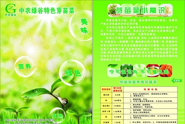 中農(nóng)綠谷芽苗菜圖片