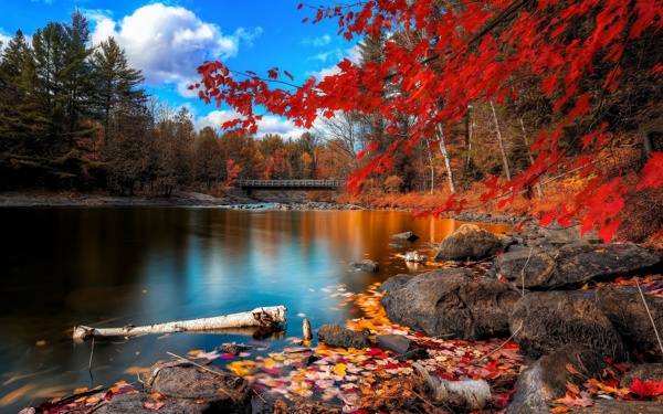 紅杉湖景區(qū)