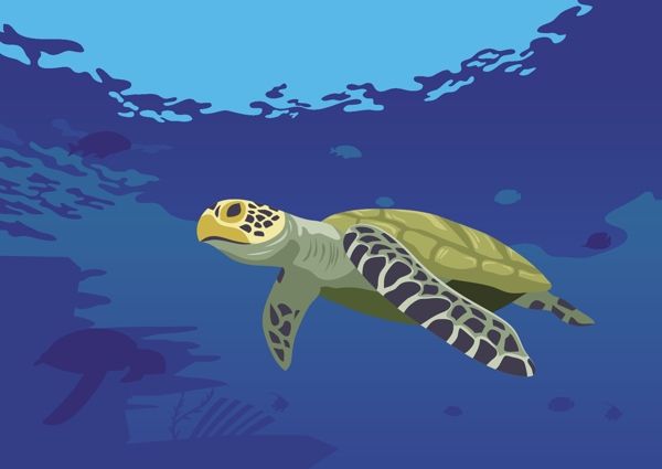 海洋海龟