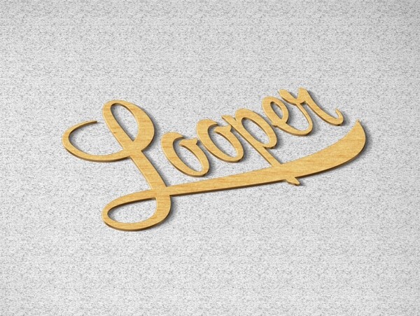 LOGO樣機(jī)素材0274