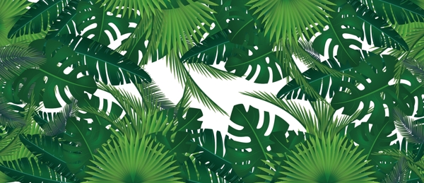 熱帶植物背景