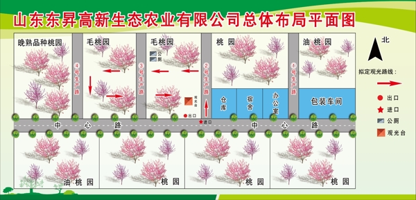 桃树平面图