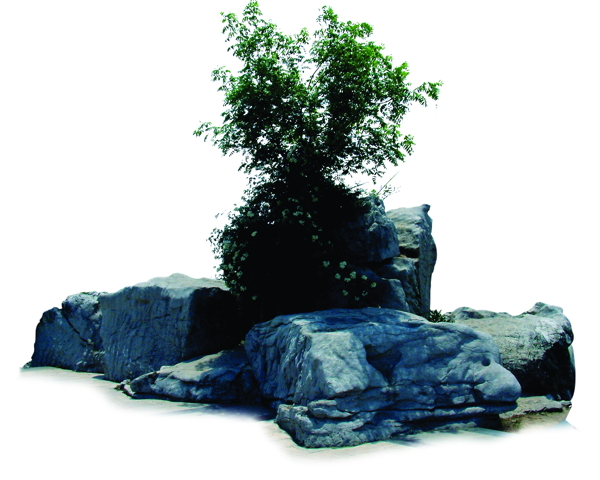 景觀環(huán)境037背景素材