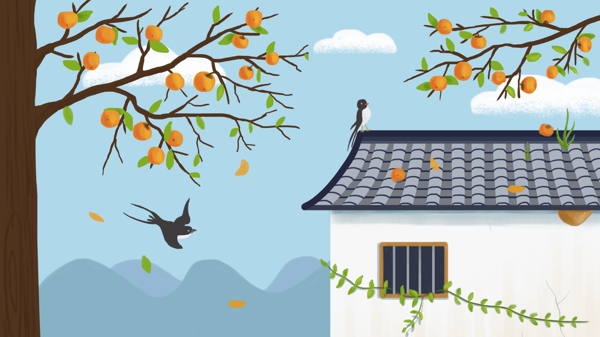 秋天你好丨家门口的柿子树插画