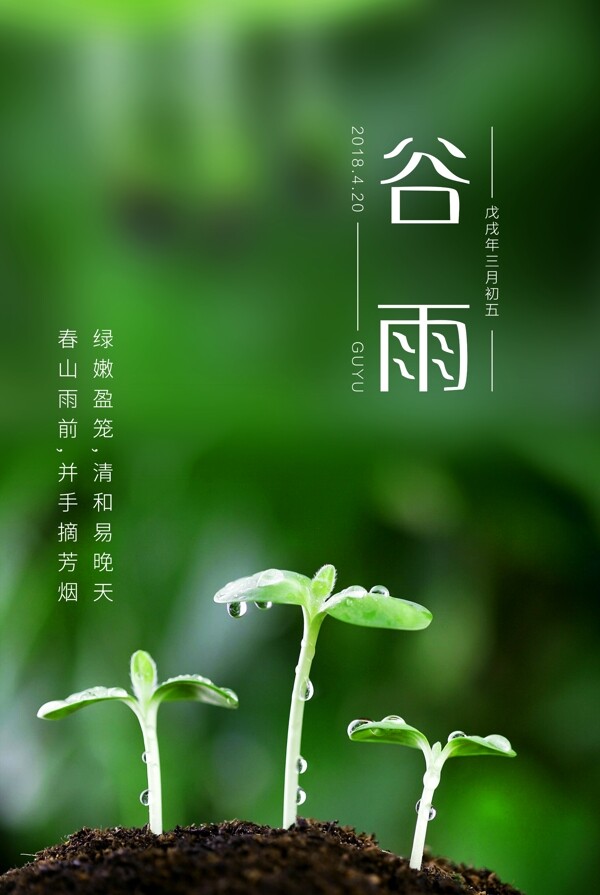 民间节气谷雨文化海报图片