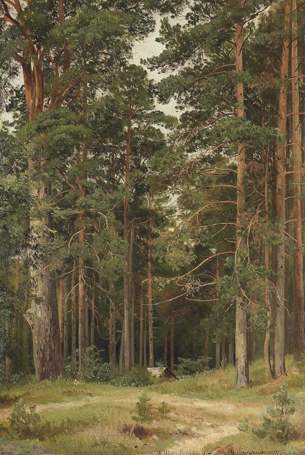 希施金森林风景油画