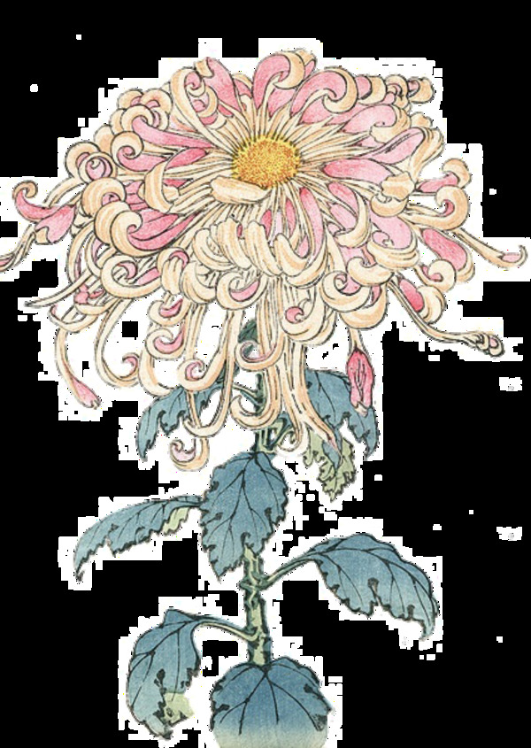 粉色清新手绘菊花装饰元素