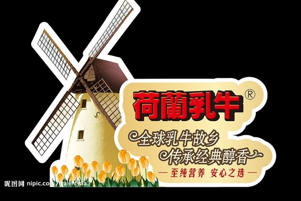 荷蘭乳牛端架圖片