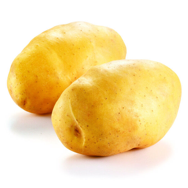 長土豆圖片