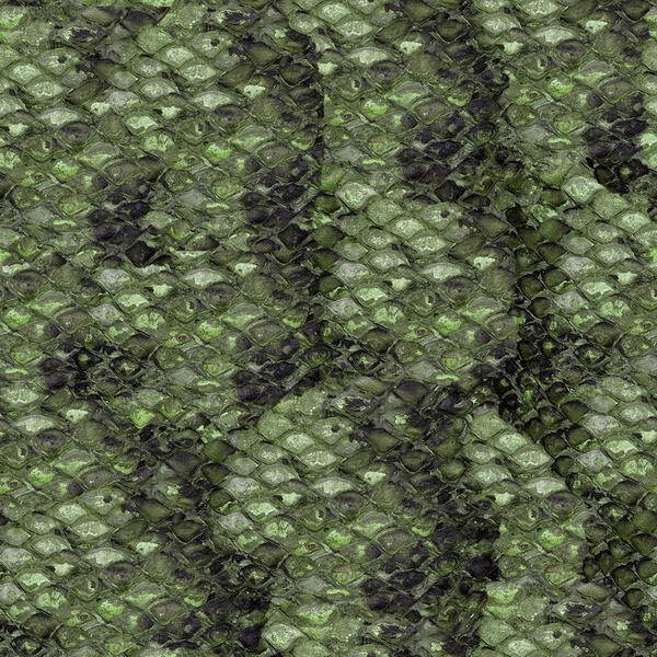 精品國(guó)外植物3D模型17