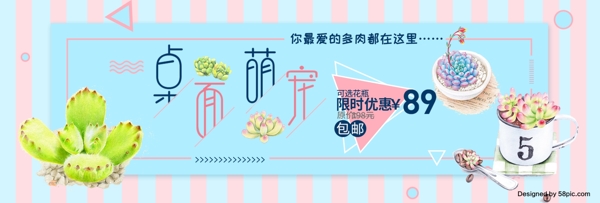 粉蓝色可爱风多肉桌面萌宠淘宝电商天猫海报banner