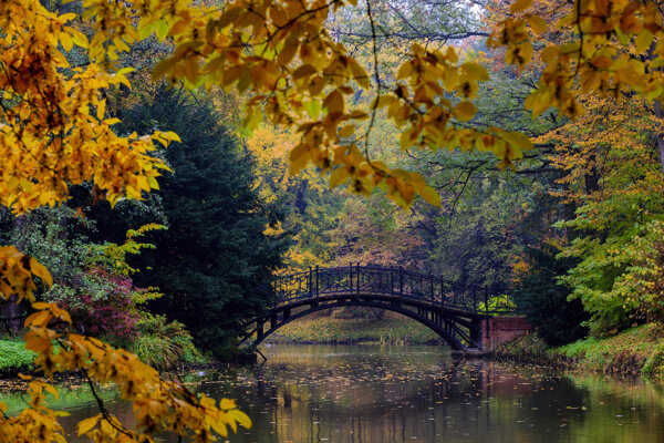 秋天小河桥梁风景图片