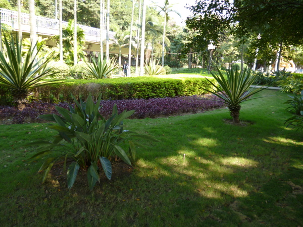 公園一角