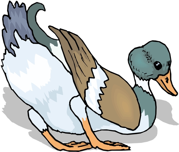 各種鳥類鳥動物矢量素材EPS格式0717