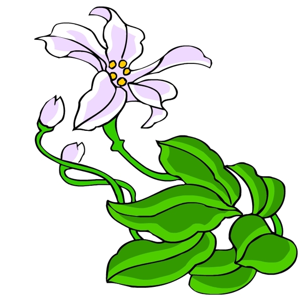 花卉古典插畫