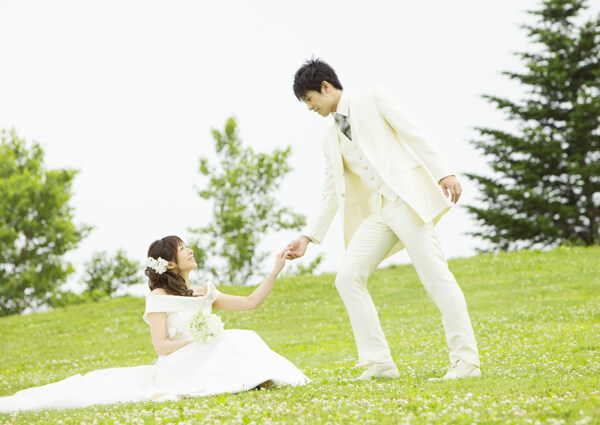 草坪上的新郎新娘图片