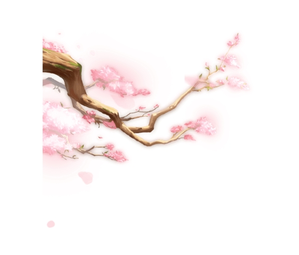 春天櫻花桃花花朵隨風(fēng)而動(dòng)
