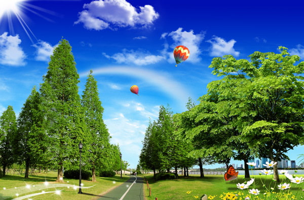 樹林背景圖