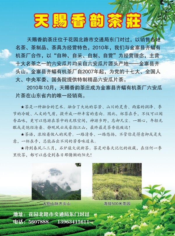 茶莊單頁(yè)圖片