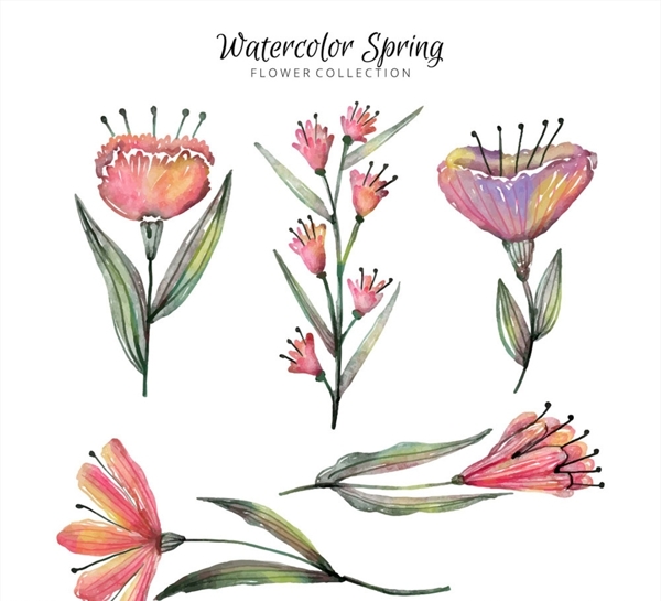水彩绘春季花卉图片