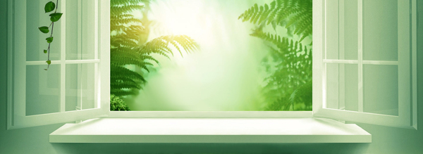 綠色植物窗戶banner背景素材