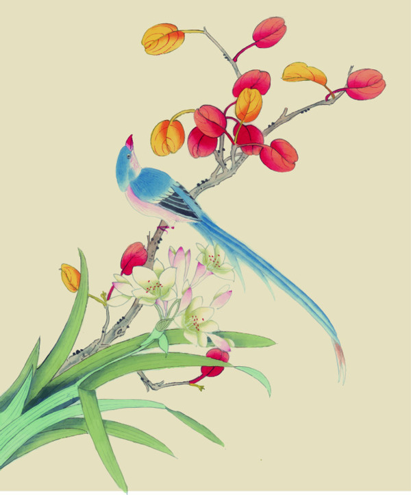 中國風水彩花鳥圖矢量