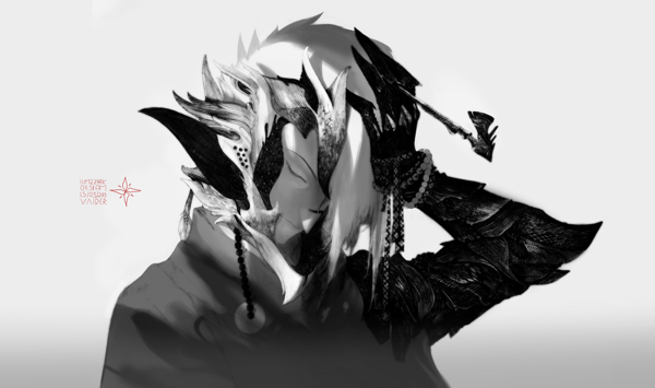 Vaider