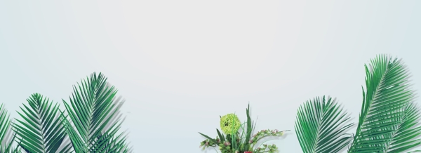 清新植物春天绿色叶子海报背景