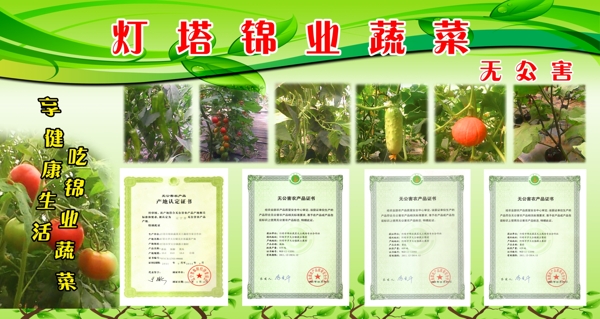 蔬菜展板圖片
