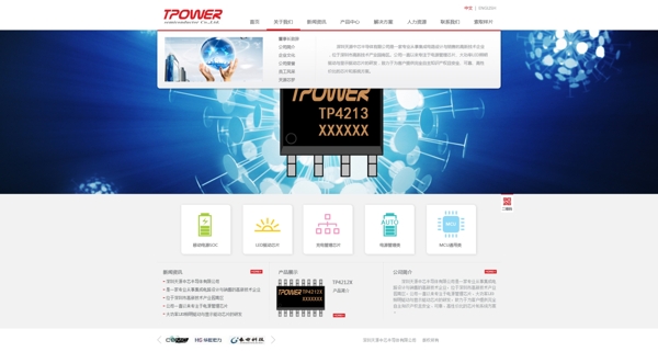 电子网站图片