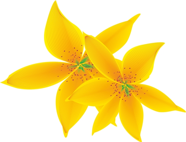 卡通花
