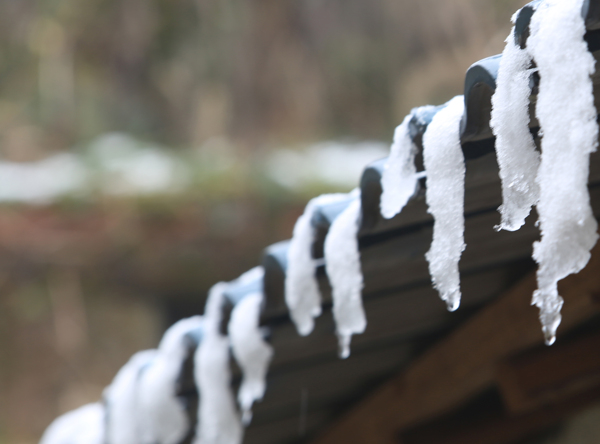 雪