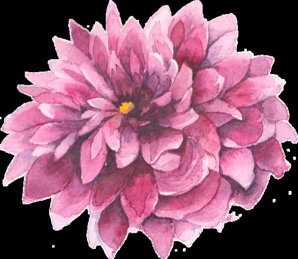 手绘紫红色水彩花png透明素材
