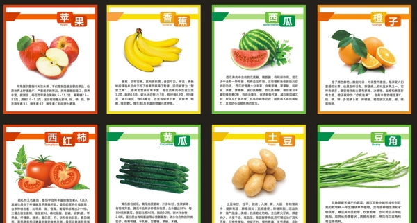 水果蔬菜展板圖片