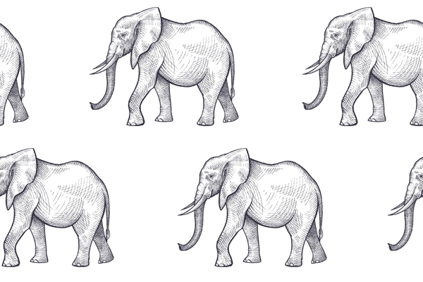 手绘大象动物图片