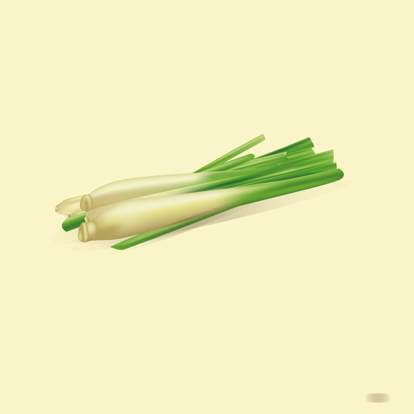 卡通檸檬草