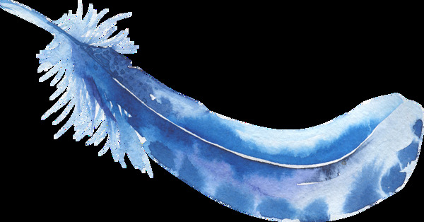 水蓝羽毛透明装饰素材