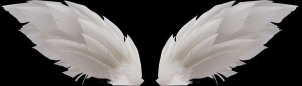 羽毛翅膀