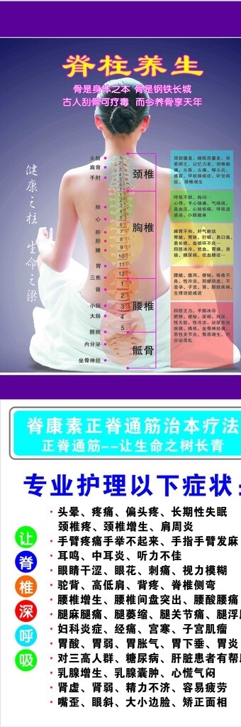 脊柱養(yǎng)生圖片