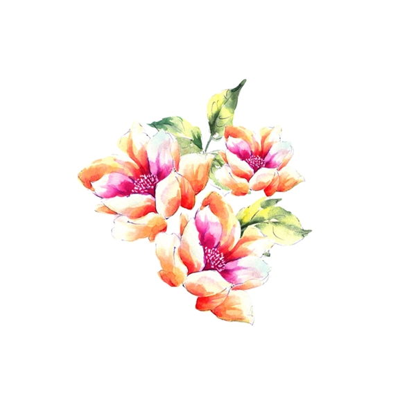 位圖psd植物花朵免費(fèi)素材