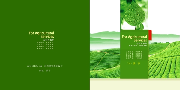 茶園畫(huà)冊(cè)