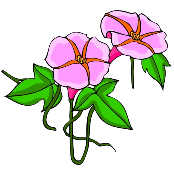 花卉古典插畫