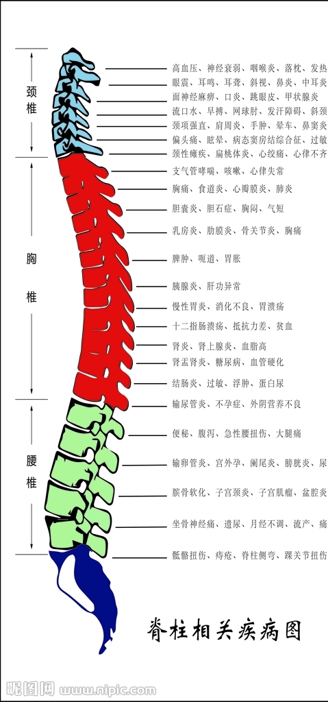 脊柱相關(guān)疾病圖