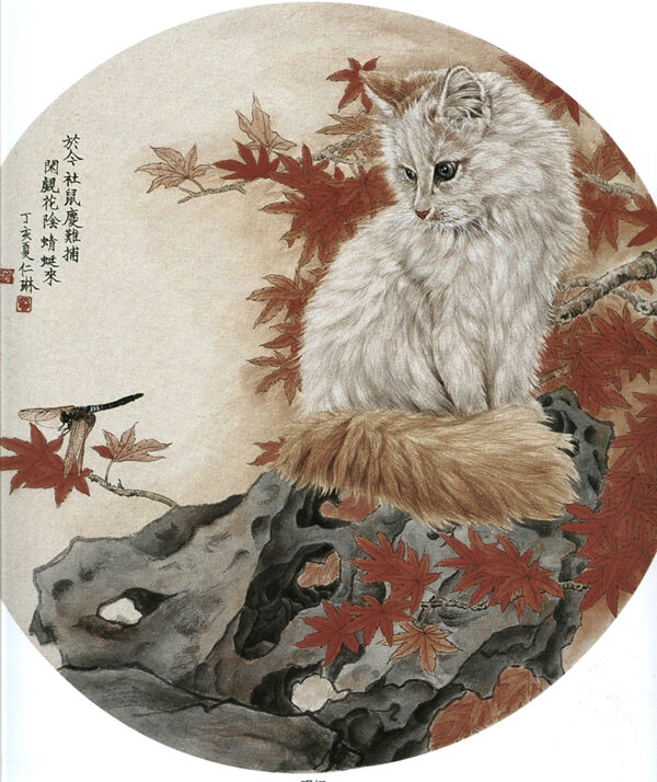 好奇圖片