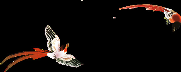 古畫鳥