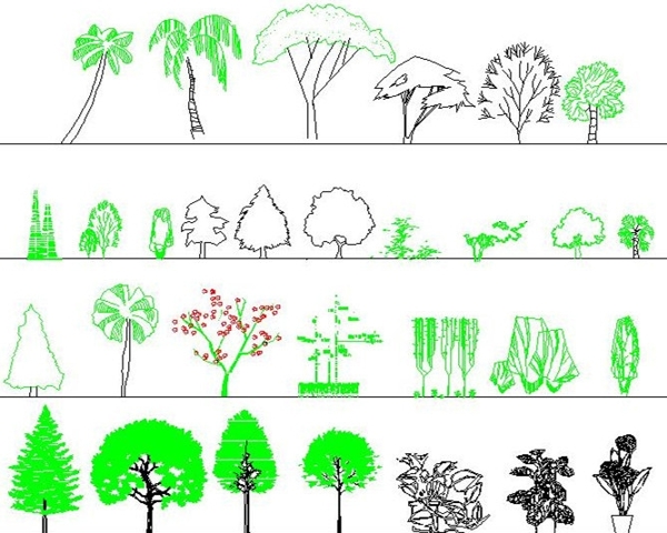 园林立面植物素材图片