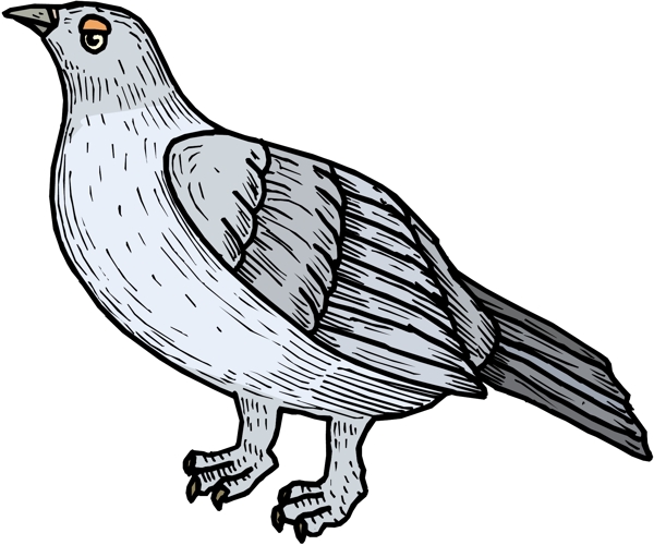 各種鳥類鳥動(dòng)物矢量素材EPS格式0089