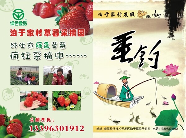 草莓采摘二折頁圖片