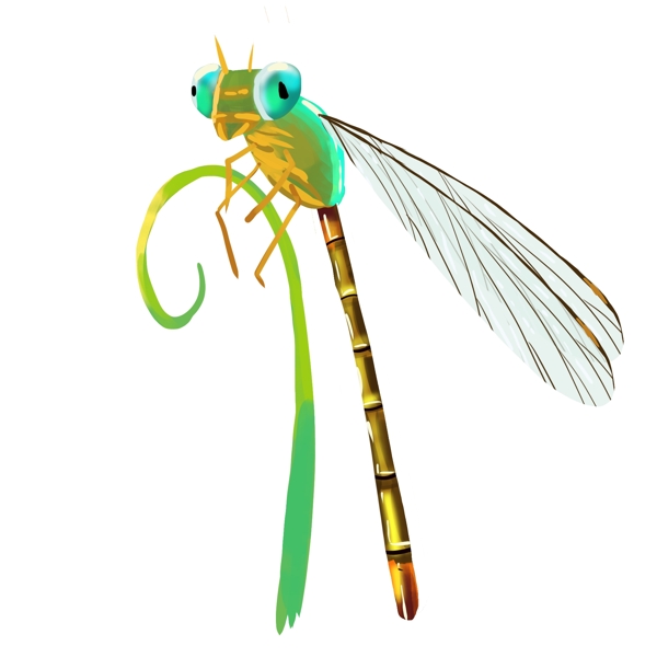 绿色蜻蜓昆虫