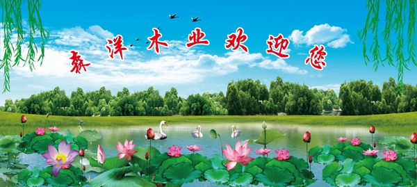 荷花